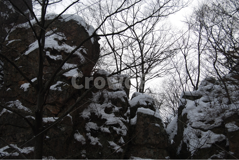대둔산,겨울,바위,눈,자연휴양림,겨울,계절,winter,season,자연,풍경,nature,landscape,outdoors,옥외,snow