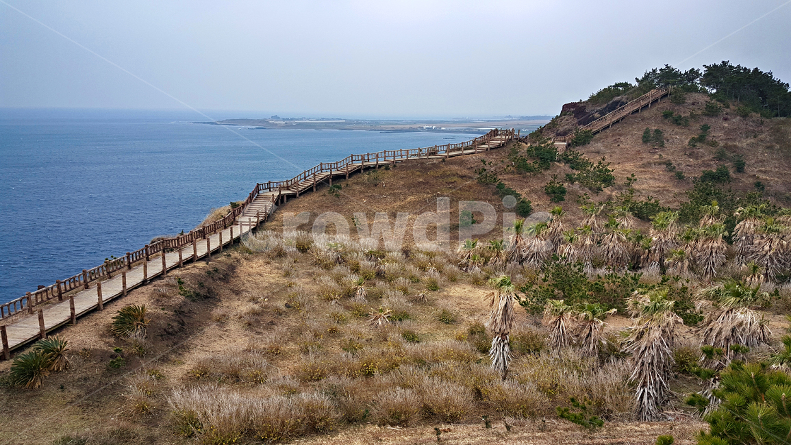 송악산,둘레길,제주도,서귀포시,바다,길,자연,풍경,nature,landscape,제주도,jeju,jeju island