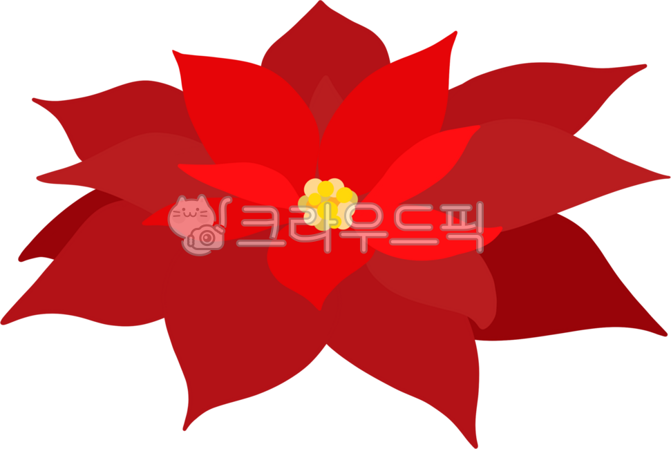 포인세티아,겨울꽃,꽃,빨간꽃,식물,리스,화환,크리스마스,겨울,성탄절,트리장식,크리스마스장식,크리스마스오너먼트,크리스마스선물,장식,겨울장식,크리스마스이벤트,이벤트