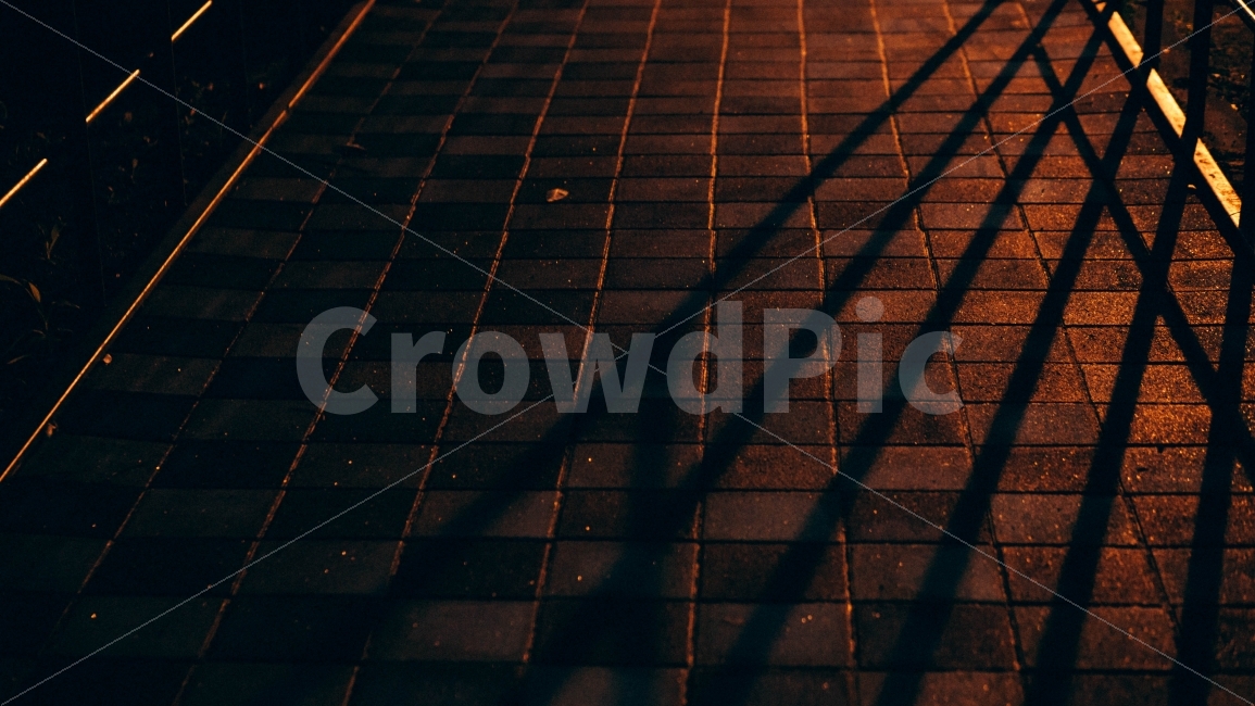 길,밤,야경,밤길,길목,그림자,야경,밤,풍경,nightscape,night,landscape,walkway,보도,path,통로