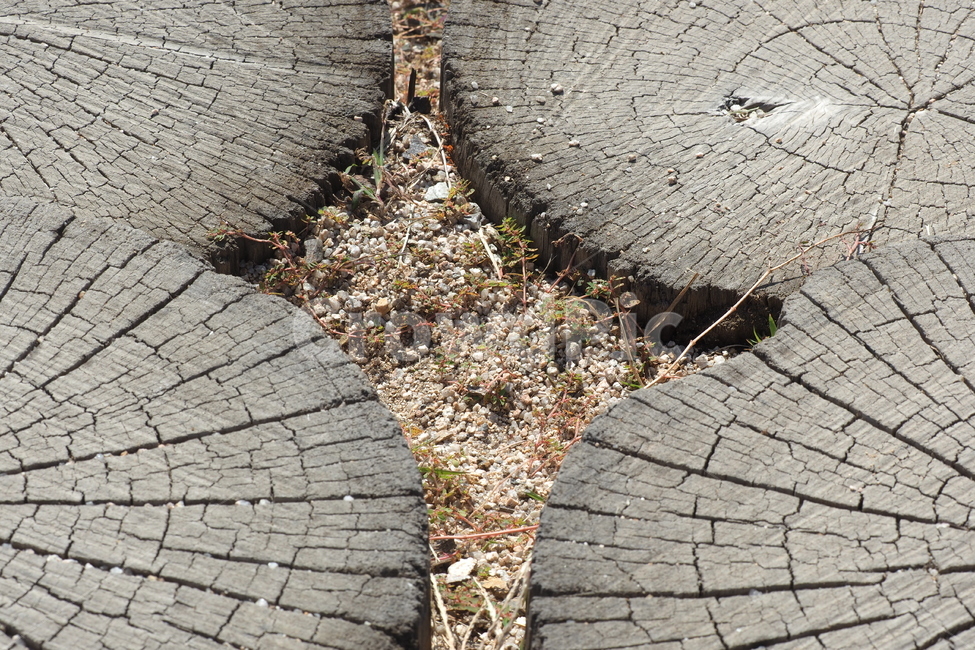 패턴,나무,무늬,자연,흙,자연,풍경,nature,landscape,flagstone,판석,path,통로,walkway,보도,ground,바닥,slate,슬레이트