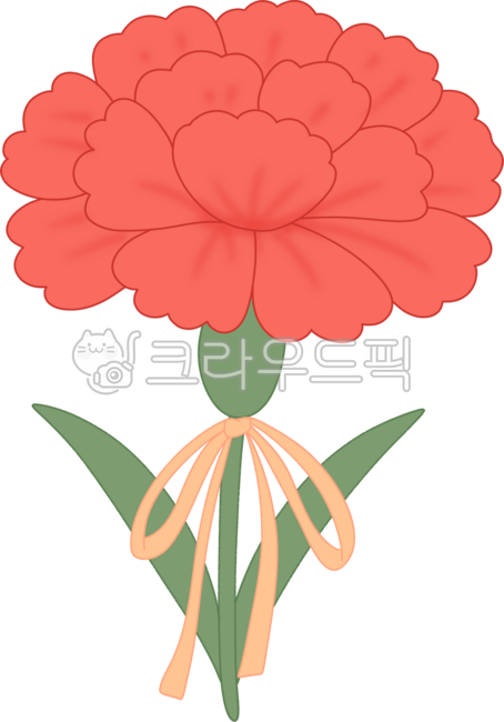 꽃,카네이션,어버이날,가정의달,꽃한송이,스승의날,감사,5월,행사,선물,식물,flower,carnation,parentsday,리본,빨간카네이션,손그림