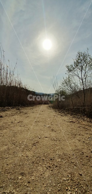 길,길가,숲,나무,하늘,휴가,푸른,흙,흙길,관광,구름,스카이,sky