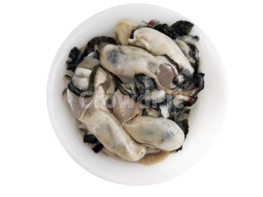 굴,회,해산물,생굴,음식,안주,겨울음식,한국음식,한국요리,식재료,요리,food,cook,meal,dishes,수산물,seafood,겨울,음식,식재료,요리,food,cook,meal,dishes,food reserves,수산물,해산물,fishery products,seafood,누끼,remove background
