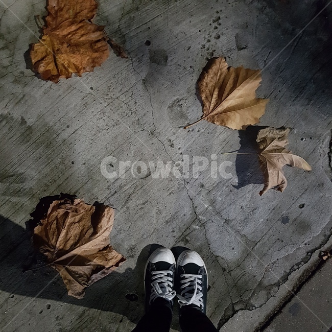 가을,쓸쓸,귀갓길,혼자,퇴근,감성,가을,계절,fall,autumn,season,사람,인물,인간,human,person,신체일부,몸,body,leaf,잎,plant,식물