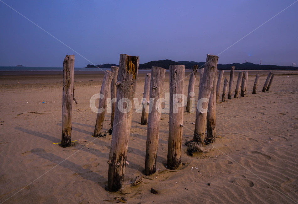 해변,바닷가,모래,사구,모래밭,말뚝,풍경,자연,풍경,nature,landscape,해변,바다,beach,sea,wood,나무