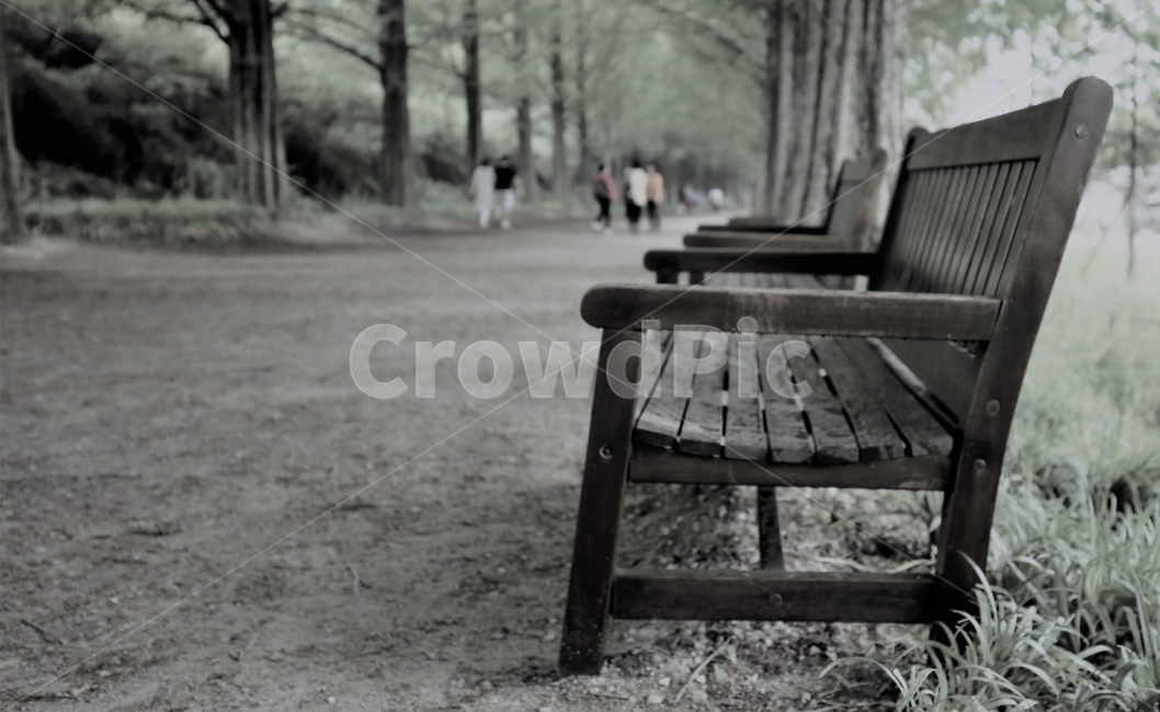 쉼,명상,자유,의자,길,휴식,힐링,rest,relaxation,healing,흑백,모노톤,monochrome,black and white