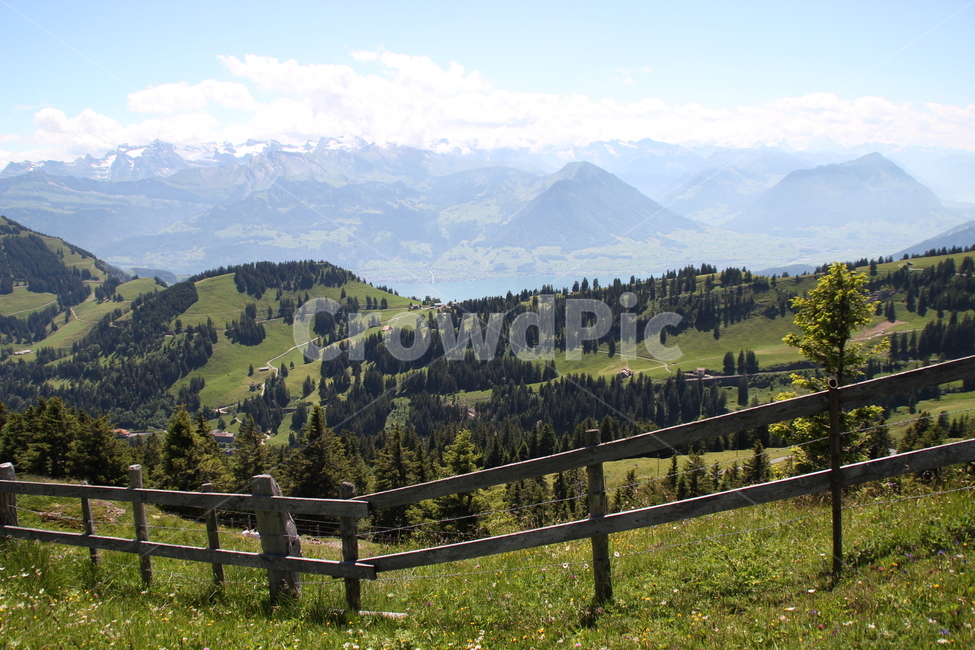 스위스,리기산,호수,swiss,rigimountain,lake,자연,풍경,nature,landscape,해외,외국,세계,foreign,oversea,world,세계자연풍경,해외자연풍경,외국자연풍경,world nature landscape,outdoors,옥외,mountain range,산맥,mountain,산,tree,나무,plant,식물,fir,전나무,abies,아비