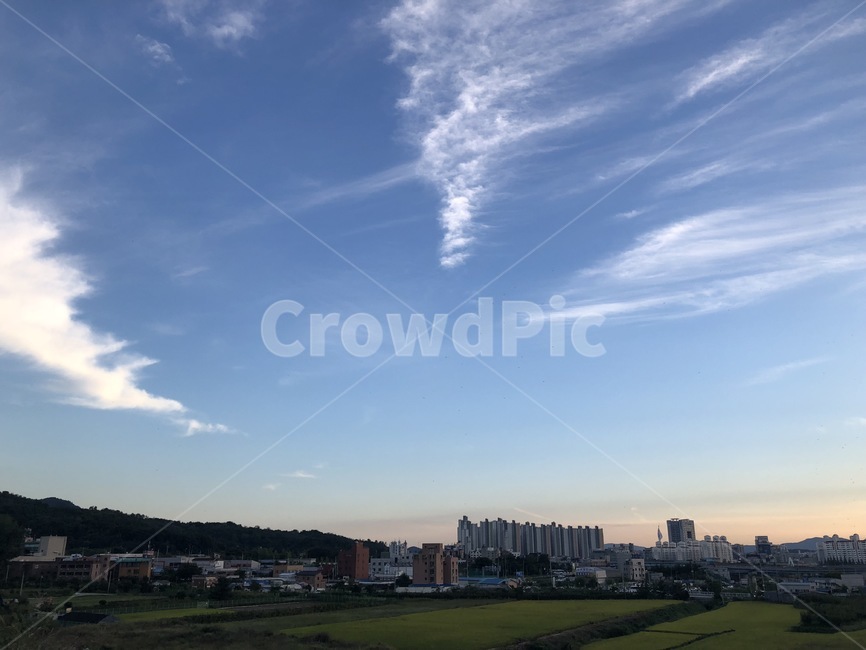 하늘,풍경,맑은하늘,구름,청량,날씨,도시,풍경,city,landscape,한국도시풍경,한국도시경관,korea cityscape,grass,잔디,plant,식물,outdoors,옥외,nature,자연
