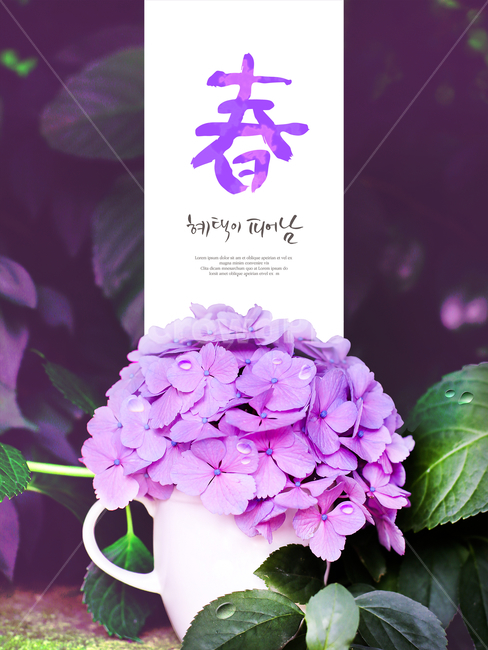 수국,꽃,캘리,캘리그라피,손글씨,붓글씨,봄,프레임,이벤트,쇼핑,꽃,flower,그래픽,일러스트레이션,graphic,illustration,캘리그라피,손글씨,calligraphy
