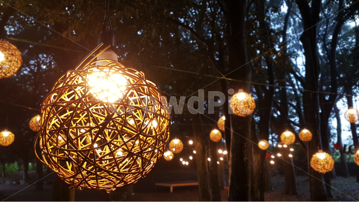 야경,조명,불빛,숲,전시,nightscape,light,forest,display,야경,밤,풍경,nightscape,night,landscape,sphere,구체,lighting,lamp,램프