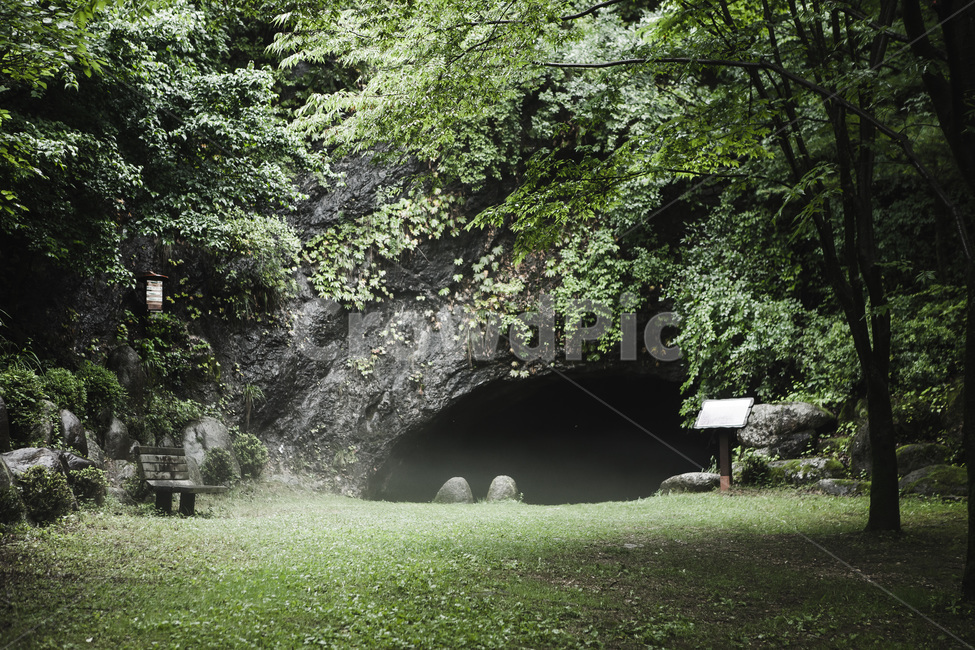 잔디,동굴,자연,tunnel,nature,굴,신비로움,자연,풍경,nature,landscape,plant,식물,grass