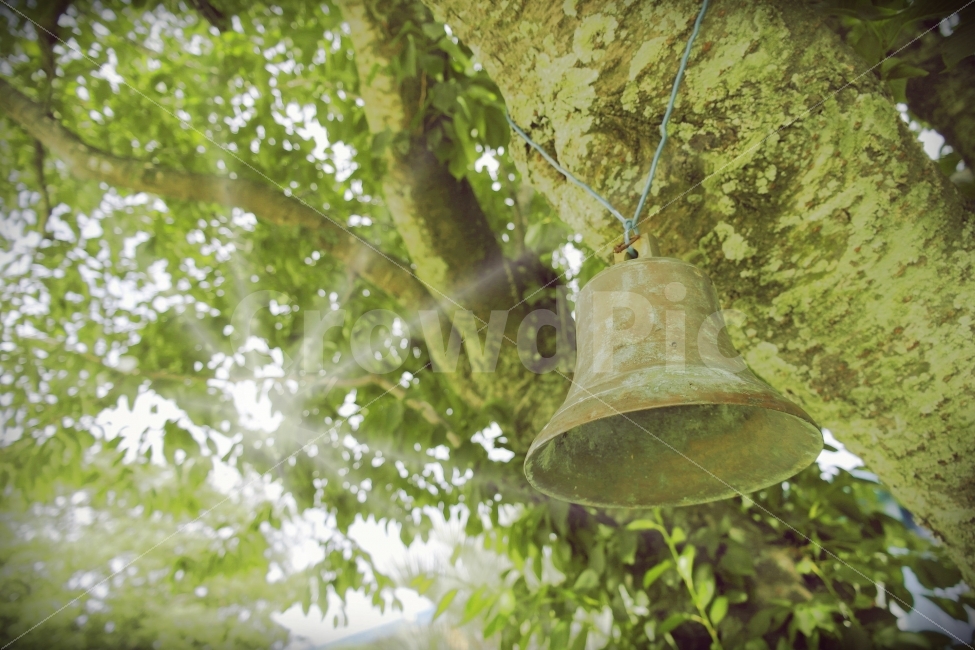 감성사진,나무그늘,더럭분교,제주도,여행사진,휴식,힐링,rest,relaxation,healing,사물,물건,오브젝트,thing,object,matter