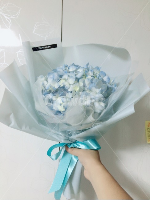 꽃,식물,flowerbouquet,plant,blossom