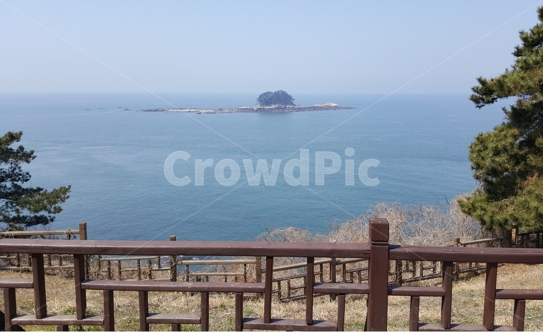 바닷가,바다,하늘,섬,소나무,울타리,언덕,잔디,자연,풍경,nature,landscape,railing,난간