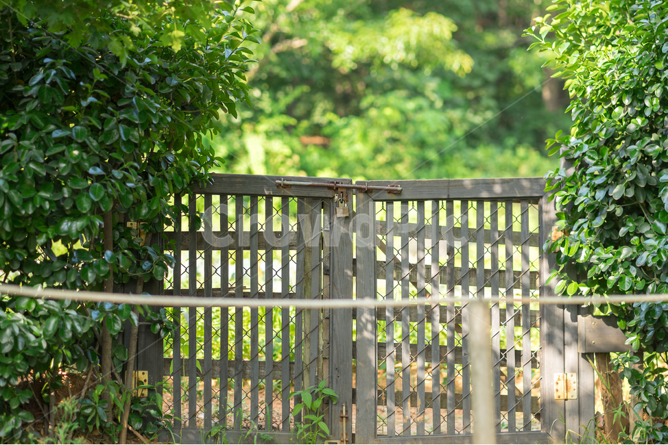 풀꽃수목원,수목원,공원,숲길,자물쇠,뒷문,나무문,울타리,자연,풍경,nature,landscape,식물,plants,휴식,힐링,rest,relaxation,healing,gate,문