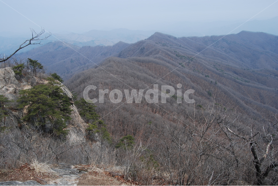 등산로,가리산,홍천,산행,휴양림,자연,풍경,nature,landscape,한국자연풍경,한국자연경관,korea nature landscape,slope,경사,outdoors,옥외