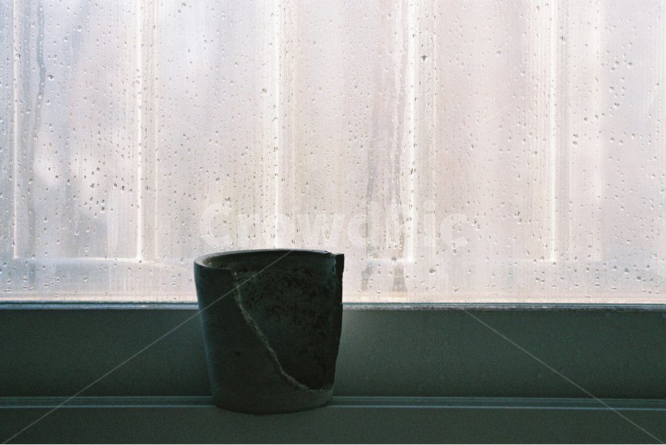 화분,빛,그림자,베란다,대비,감성,sensible,feeling,인테리어,실내디자인,interior design,사물,물건,오브젝트,thing,object,matter