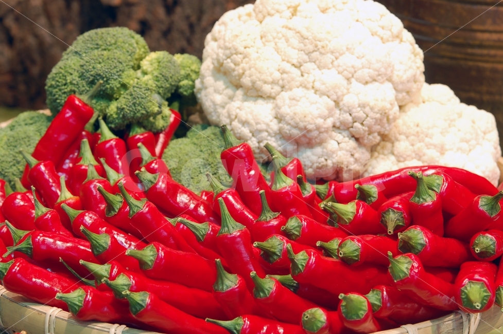 고추,홍고추,브로콜리,브로컬리,농산물,농작물,식재료,음식재료,빨강,레드,오브젝트,야채,음식,식재료,요리,food,cook,meal,dishes,food reserves,채소,야채,vegetables