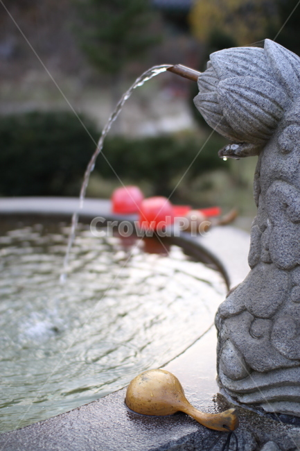 약수,물,수돗가,절,사찰,자연,정수기,식수대,water