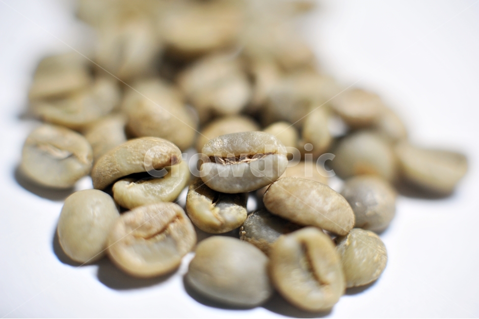 생두,커피,커피콩,bean,coffee,음료,기호식품,차,원두,아라비카,커피,카페,coffee,cafe