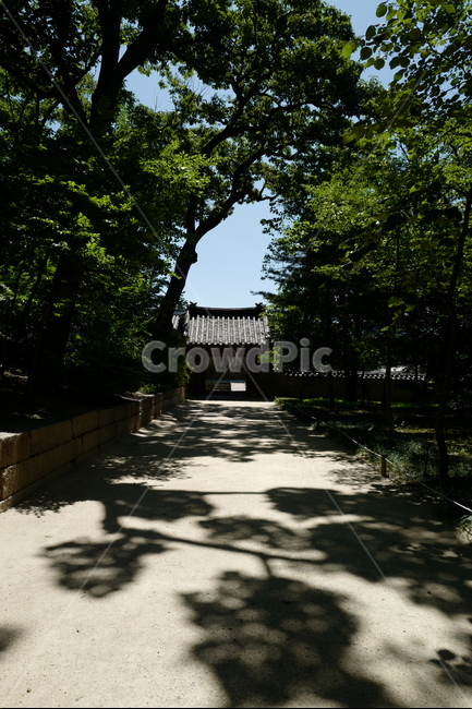 종묘,세계문화유산,한국전통,전통건축,worldheritage,jongmyo,koreanculture,koreatraditional,architecture,structure,construction,shrine,자연,풍경,nature,landscape,한국전통,한국문화,korean traditional,korean culture,outdoors,옥외,garden,정원,arbour,정자