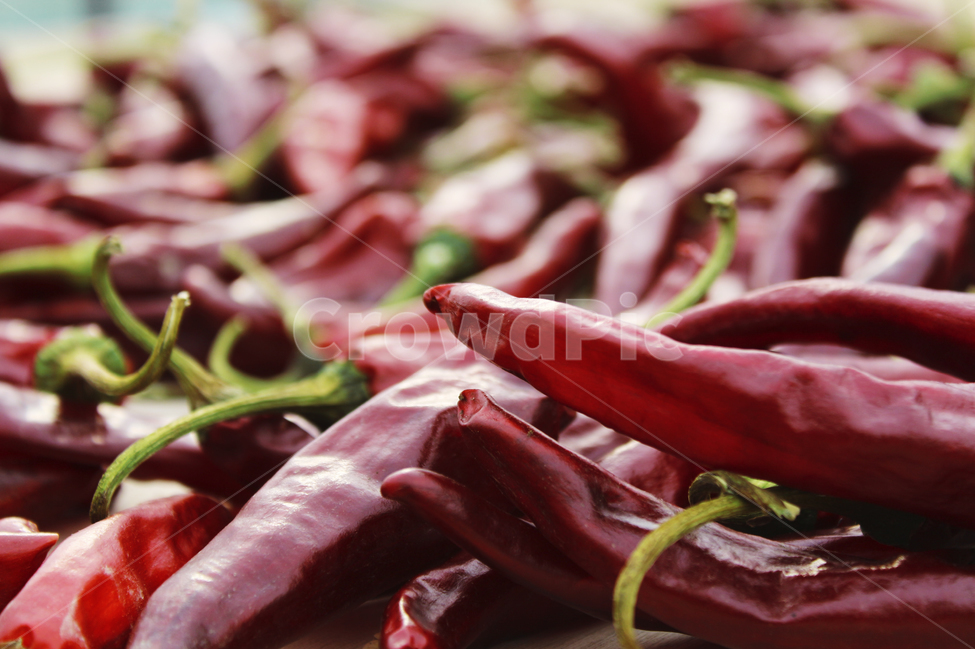 고추,햇빛,마른고추,여름,더위,음식,식재료,요리,food,cook,meal,dishes,food reserves,채소,야채,vegetables