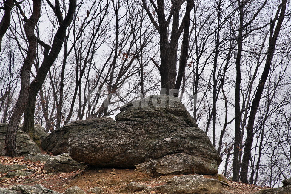 모락산,산,의왕시,자연,바위,나무,낙엽,계절,자연,풍경,nature,landscape