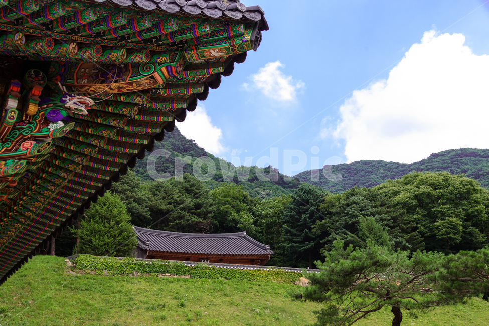 축서사,불교,절,종교,전통적인,문화,한국전통,한국문화,korean traditional,korean culture,건축물,건물외관,exterior,building,structure,architecture,construction