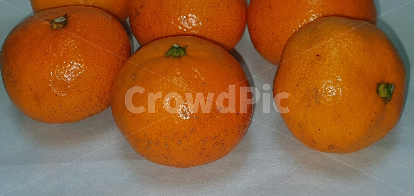 귤,감귤,제주귤,비타민,food,음식,plant,식물,citrusfruit,감귤류과일,fruit,과일