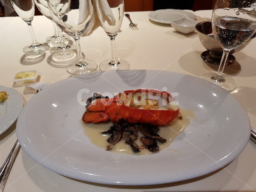 glass,유리,dish,fork,포크,바닷가재,랍스터,lobster,food