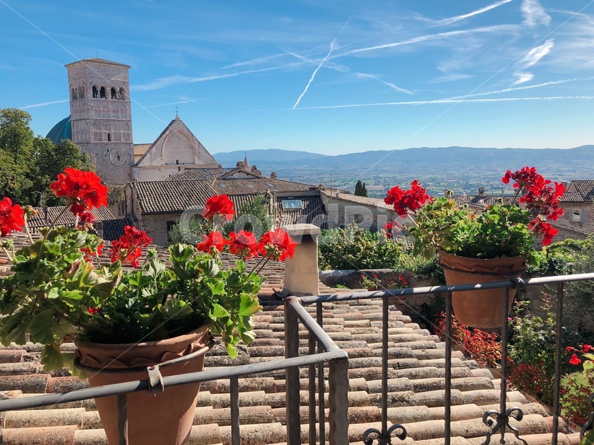 이탈리아,아시시,마을,풍경,하늘,유럽,italy,assisi,town,landscape,europe,해외도시풍경,외국도시풍경,외국,worldcityscape,화분,지붕,루프탑