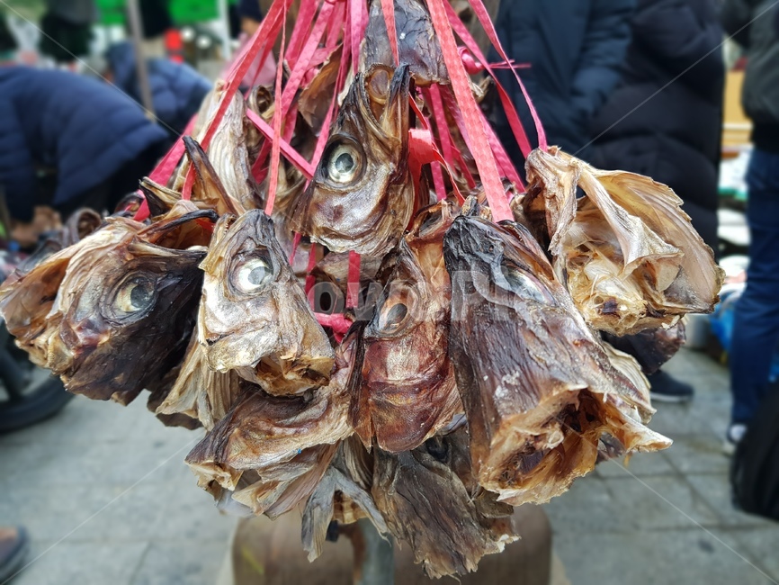 생선,시장,전통,북어,머가리