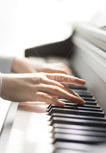악기,piano,leisureactivities,레저활동,피아노,뮤직,hand,피아니스트,음악가,놀이,손가락,사운드,뮤지컬,손,재즈,화음,여자,연주회,공연,연주,악기,음향기기,musical instrument,musical equipment