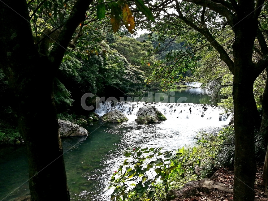 제주도,계곡,냇가,나무,바위,초록,물,휴가,여름,나뭇가지,나뭇잎,풍경,물살,수풀