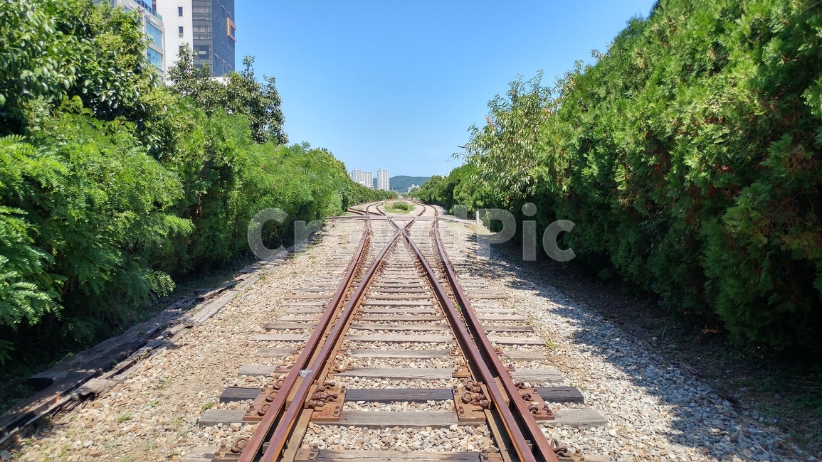 철길,하늘,철도,갈림길,나무,풍경,tree,sky,railway,crossroad,forkroad,감성,공허한,오래된,교통,교통수단,traffic,transportation