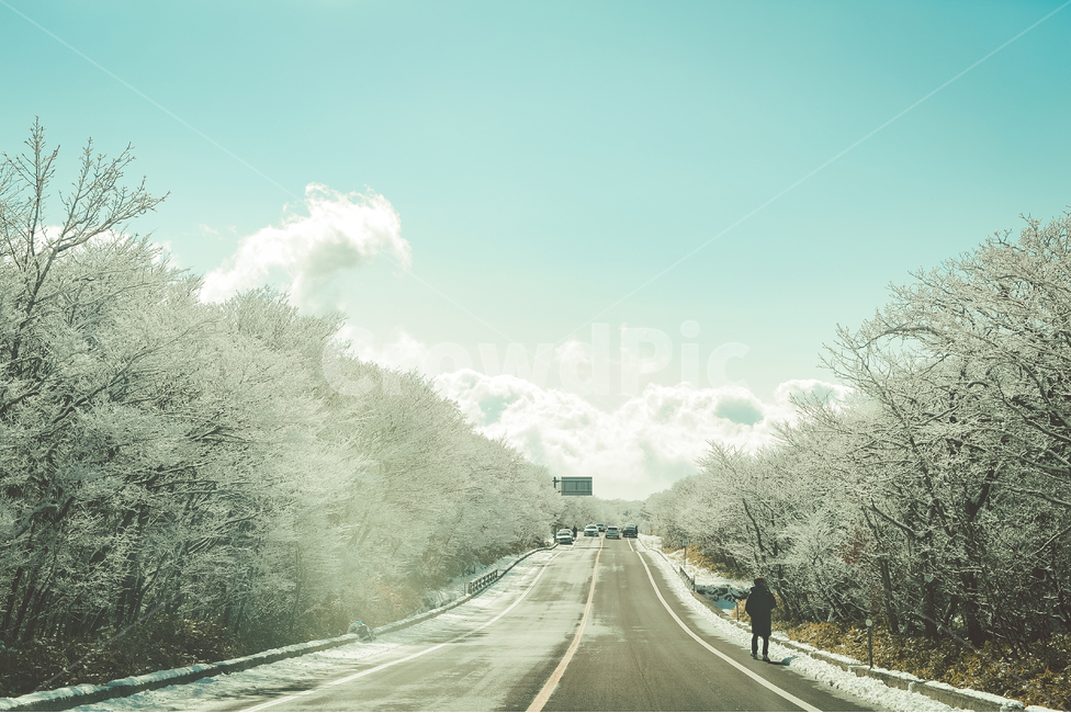road,도로,human,인간,person,사람,nature,자연,outdoors,옥외