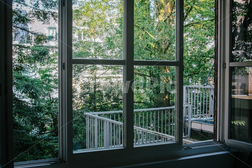 감성사진,창문,세계,자연,풍경사진,네덜란드,나무,숲,창,햇빛,초록,window,감성,sensible,feeling,인테리어,실내디자인,interior design