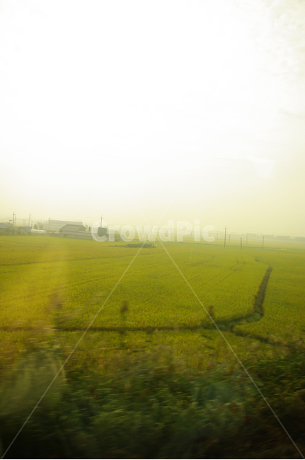 창,풍경,하늘,밭,논,자연,풍경,nature,landscape,grassland,목초지,field,들,outdoors,옥외,paddy field,패디 필드