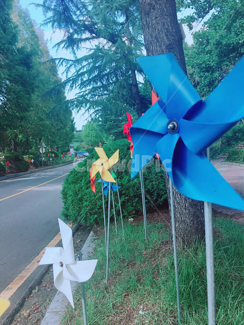 광주,바람개비,나무,공원,컬러풀,힐링,감성,계절,색깔