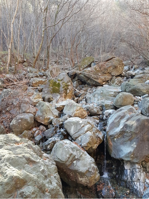 바위,산속,나무,가을,계곡