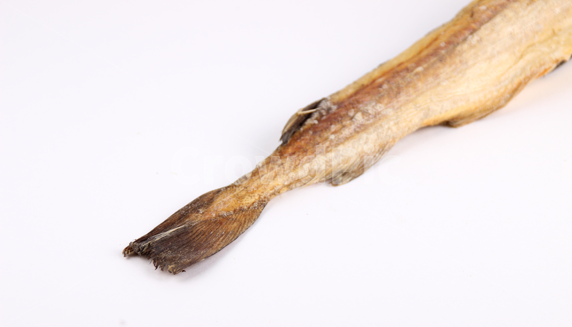 fish,물고기,황태,북어,황태꼬리,꼬리,북어꼬리,음식,식재료,요리,food,cook,meal,dishes,food reserves