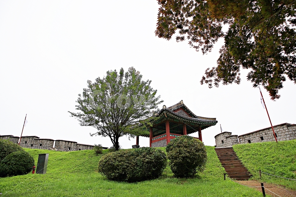 수원화성,성,성곽,길,둘레길,돌담,담,가을,자연,풍경,벽,방어벽,전통,흙담,식물,나무,산성,한국전통,한국문화,korean traditional,korean culture
