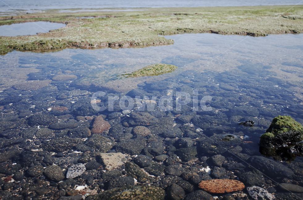 nature,자연,outdoors,옥외,ground,바닥,sand,모래,water,물,shoreline,해안선,sea,바다,ocean,대양,wave,물결