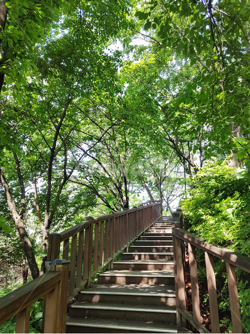 산책,등산,산,계단,자연,나무,그늘,햇살,나뭇잎,잎,garden,자연,풍경,nature,landscape,정원,outdoors,옥외,arbour,정자