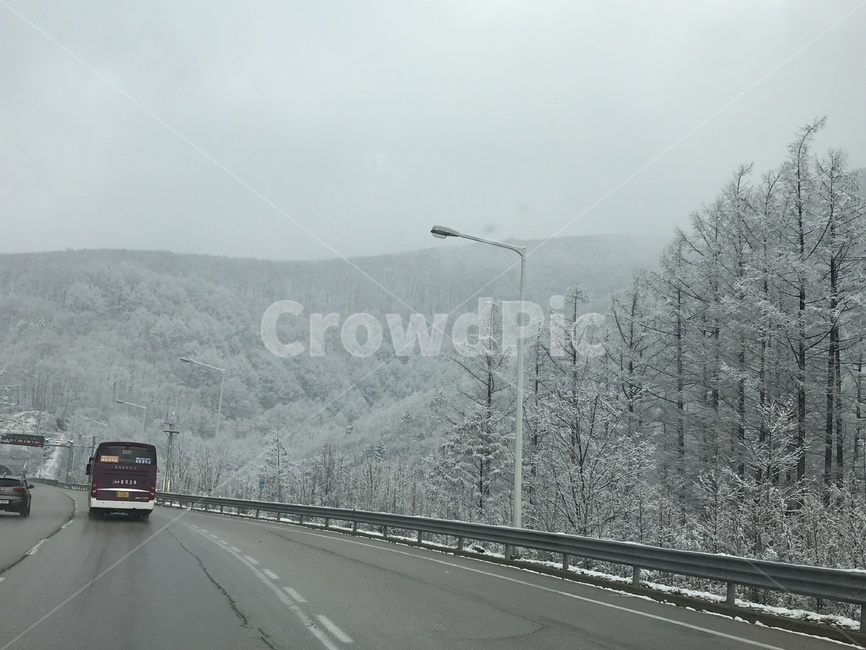눈,도로,산,눈꽃,차밖풍경