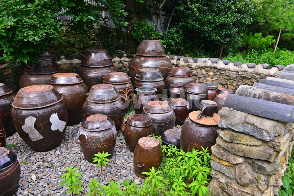 당양,대덕,미암마을,유적지,문화재,nature,자연,water,물,outdoors,옥외,돌담장,담장,항아리
