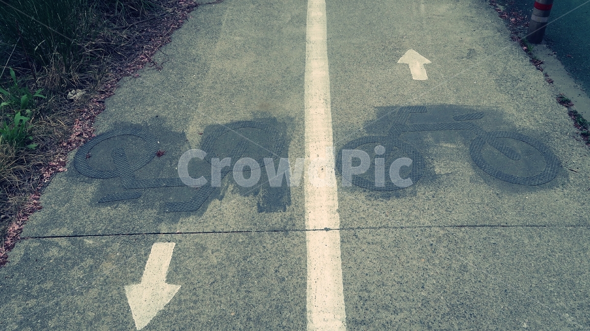자전거,사인,표시,방향,화살표,도로,바닥,라인,sign,street,path,bike,bicycle,track,road,way,biking,route,cycle,paint,line,페인트,그림