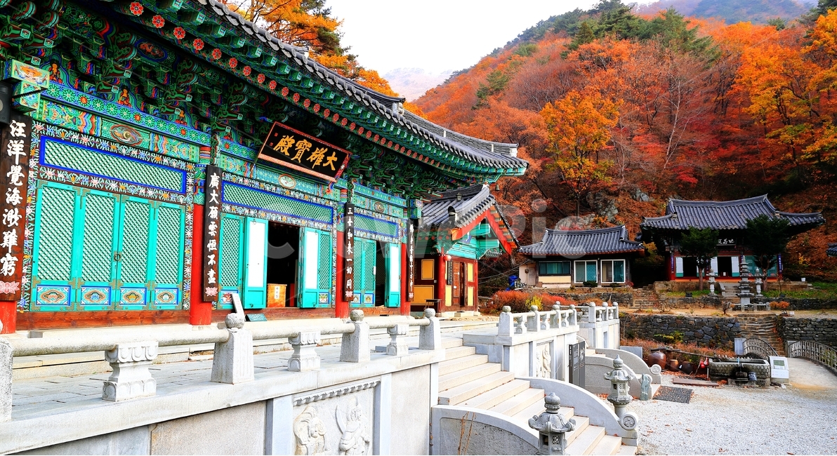 희방사,소백산,절,단풍,가을,가을,계절,fall,autumn,season,한국전통,한국문화,korean traditional,korean culture,종교,신앙,religion,belief,faith