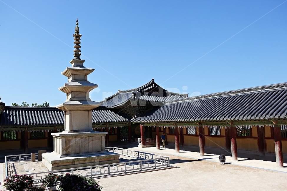 불국사,경주,절,사찰,국보,보물,한옥,기와집,전통